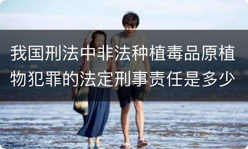 我国刑法中非法种植毒品原植物犯罪的法定刑事责任是多少