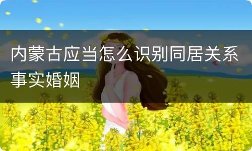 内蒙古应当怎么识别同居关系事实婚姻
