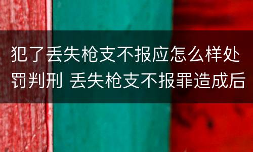 犯了丢失枪支不报应怎么样处罚判刑 丢失枪支不报罪造成后果