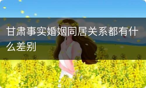 甘肃事实婚姻同居关系都有什么差别