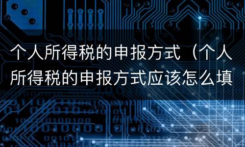 个人所得税的申报方式（个人所得税的申报方式应该怎么填写）