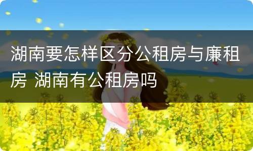 湖南要怎样区分公租房与廉租房 湖南有公租房吗