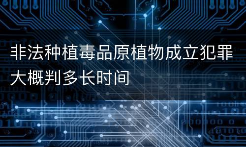 非法种植毒品原植物成立犯罪大概判多长时间