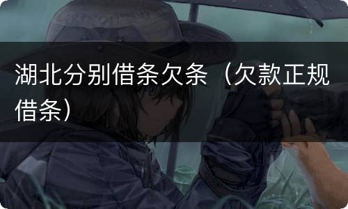 湖北分别借条欠条（欠款正规借条）