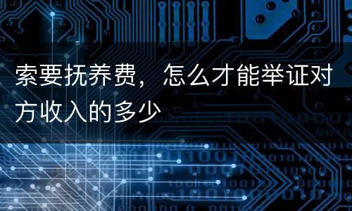 索要抚养费，怎么才能举证对方收入的多少
