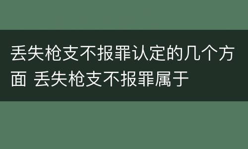 丢失枪支不报罪认定的几个方面 丢失枪支不报罪属于