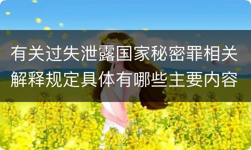 有关过失泄露国家秘密罪相关解释规定具体有哪些主要内容