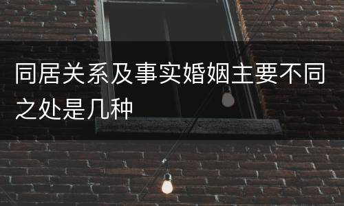 同居关系及事实婚姻主要不同之处是几种