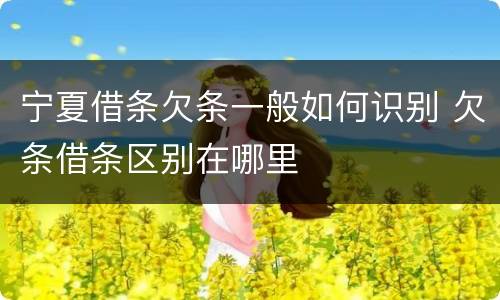 宁夏借条欠条一般如何识别 欠条借条区别在哪里