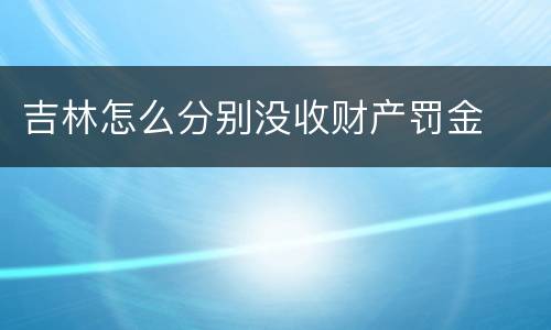 吉林怎么分别没收财产罚金