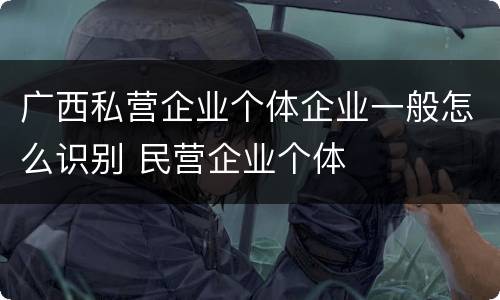 广西私营企业个体企业一般怎么识别 民营企业个体
