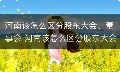 河南该怎么区分股东大会、董事会 河南该怎么区分股东大会,董事会和董事会