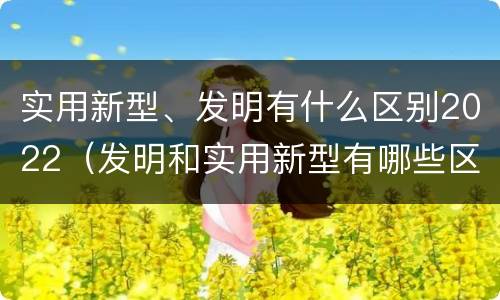实用新型、发明有什么区别2022（发明和实用新型有哪些区别）