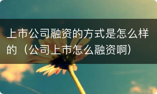 上市公司融资的方式是怎么样的（公司上市怎么融资啊）