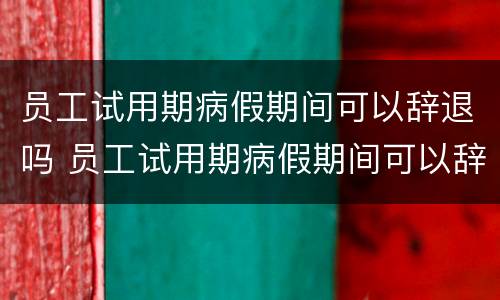 员工试用期病假期间可以辞退吗 员工试用期病假期间可以辞退吗