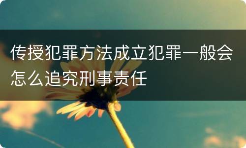 传授犯罪方法成立犯罪一般会怎么追究刑事责任