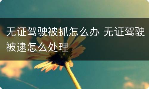 无证驾驶被抓怎么办 无证驾驶被逮怎么处理