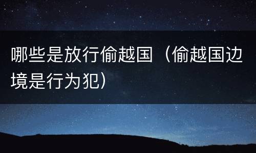 哪些是放行偷越国（偷越国边境是行为犯）