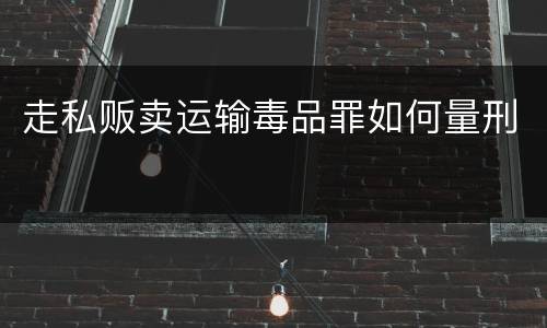 走私贩卖运输毒品罪如何量刑