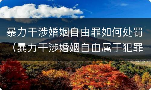 暴力干涉婚姻自由罪如何处罚（暴力干涉婚姻自由属于犯罪吗）