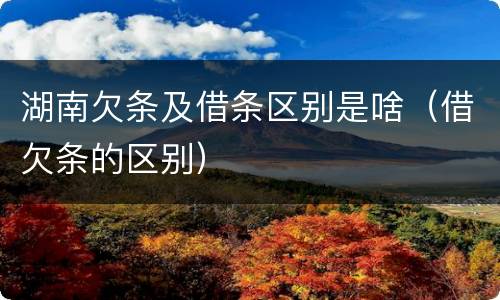 湖南欠条及借条区别是啥（借欠条的区别）