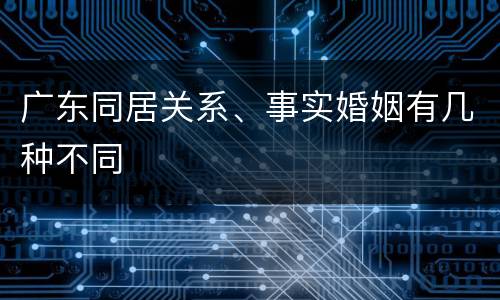 广东同居关系、事实婚姻有几种不同