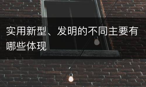 实用新型、发明的不同主要有哪些体现