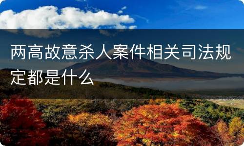 两高故意杀人案件相关司法规定都是什么
