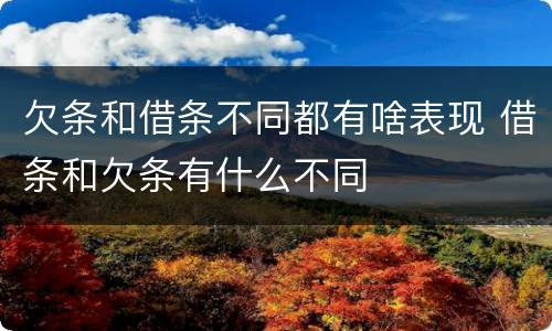 欠条和借条不同都有啥表现 借条和欠条有什么不同