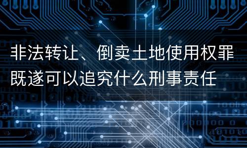 非法转让、倒卖土地使用权罪既遂可以追究什么刑事责任