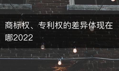 商标权、专利权的差异体现在哪2022