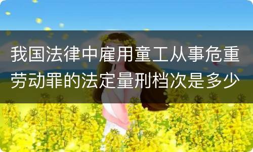 我国法律中雇用童工从事危重劳动罪的法定量刑档次是多少