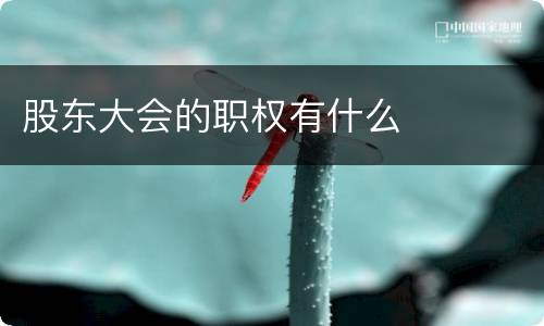 股东大会的职权有什么