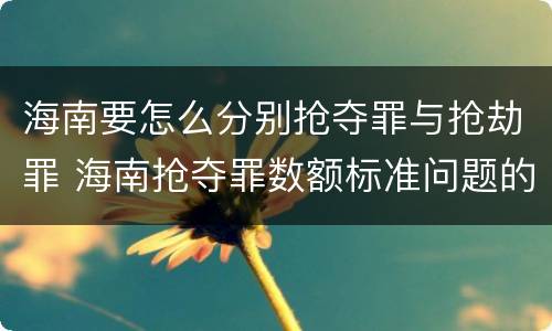 海南要怎么分别抢夺罪与抢劫罪 海南抢夺罪数额标准问题的规定