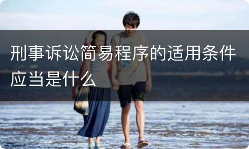 刑事诉讼简易程序的适用条件应当是什么