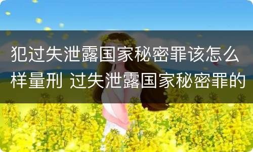 犯过失泄露国家秘密罪该怎么样量刑 过失泄露国家秘密罪的立案标准是什么