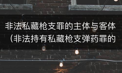 非法私藏枪支罪的主体与客体（非法持有私藏枪支弹药罪的主体）