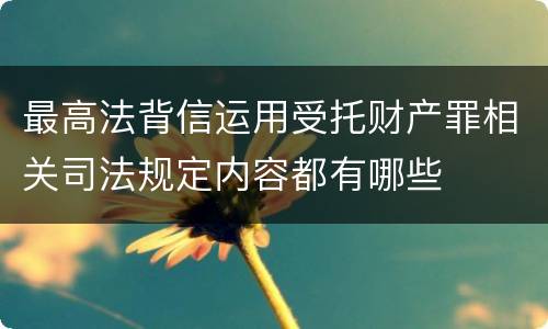 最高法背信运用受托财产罪相关司法规定内容都有哪些