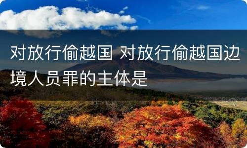 对放行偷越国 对放行偷越国边境人员罪的主体是