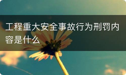 工程重大安全事故行为刑罚内容是什么