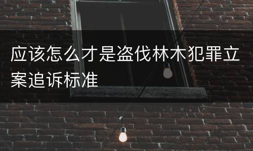 应该怎么才是盗伐林木犯罪立案追诉标准