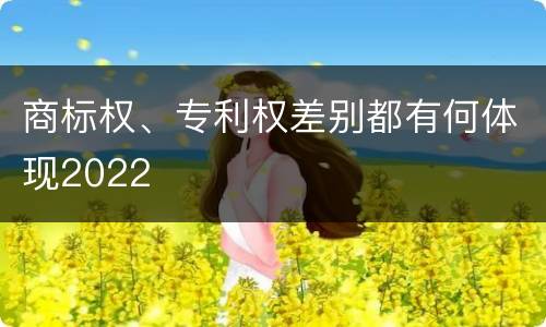 商标权、专利权差别都有何体现2022