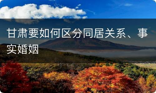 甘肃要如何区分同居关系、事实婚姻