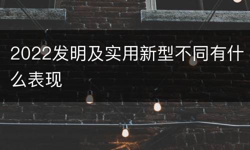 2022发明及实用新型不同有什么表现