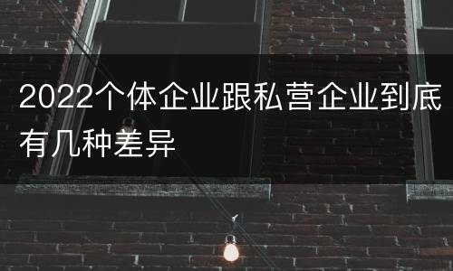 2022个体企业跟私营企业到底有几种差异