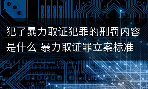 犯了暴力取证犯罪的刑罚内容是什么 暴力取证罪立案标准