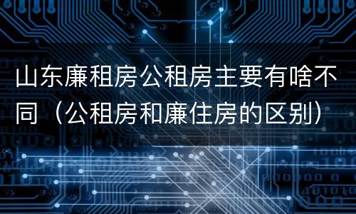 山东廉租房公租房主要有啥不同（公租房和廉住房的区别）