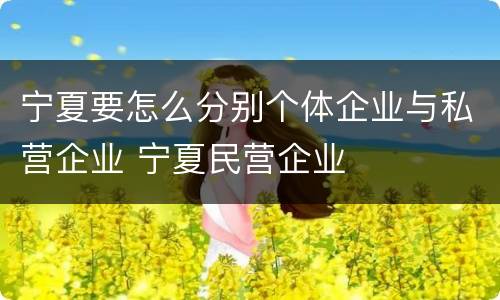 宁夏要怎么分别个体企业与私营企业 宁夏民营企业
