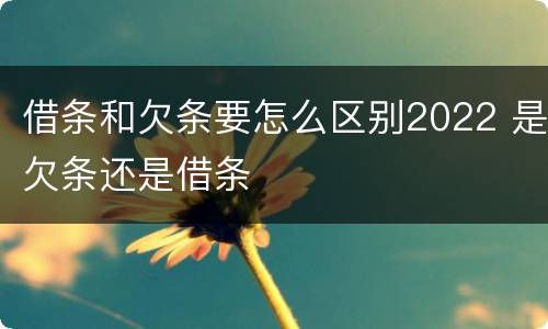 借条和欠条要怎么区别2022 是欠条还是借条