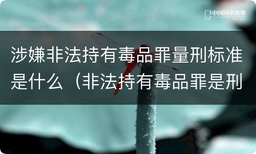 涉嫌非法持有毒品罪量刑标准是什么（非法持有毒品罪是刑法多少条）